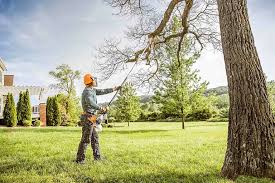 Best Soil Testing and Treatment  in Belvedere Park, GA